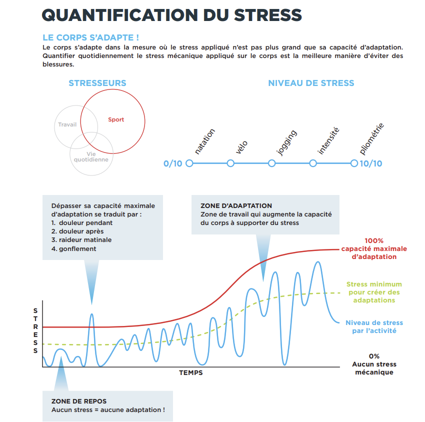 Schéma de la quantification du stress mécanique : le corps s’adapte tant que le stress appliqué reste sous sa capacité maximale d’adaptation, avec zone de repos et zone d’adaptation