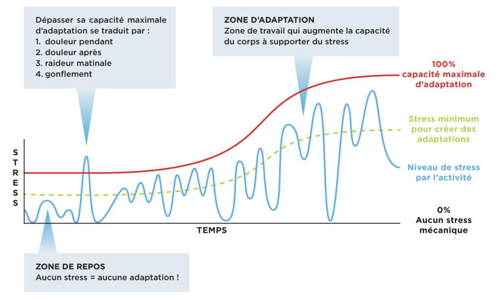 quantification du stress mécanique