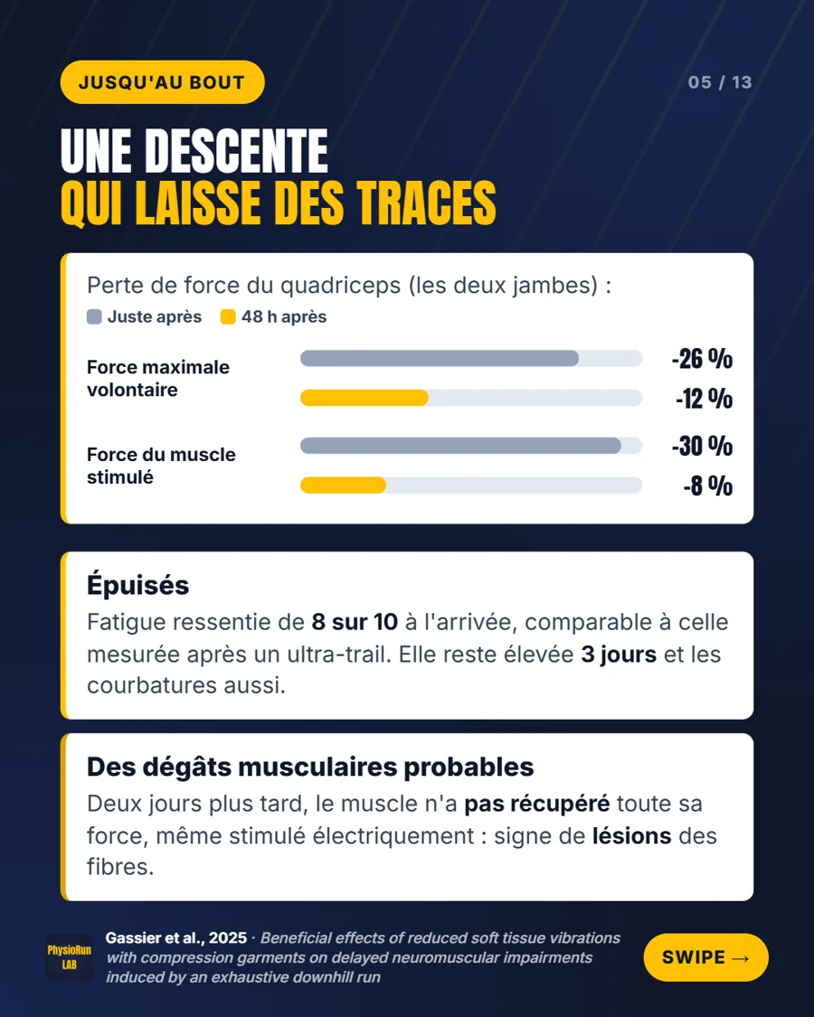 Perte de force du quadriceps après une descente jusqu'à l'épuisement&nbsp;: -26&nbsp;% juste après, -12&nbsp;% à 48 heures